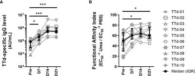 Characterising the Phenotypic Diversity of Antigen-Specific Memory B Cells Before and After Vaccination